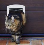Kattenluik 4 standen / nieuw, Ophalen of Verzenden, Nieuw