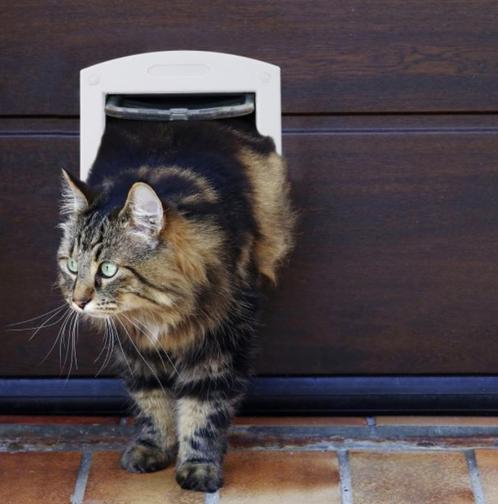 Kattenluik 4 standen / nieuw, Dieren en Toebehoren, Katten-accessoires, Nieuw, Ophalen of Verzenden
