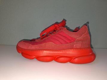 Red rag sneaker mt 35