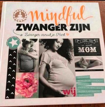 Zwangerschap leesboek: Mindful zwanger zijn NIEUW beschikbaar voor biedingen