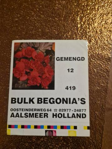 2278 Sticker Bulk Begonia's Gemengd - Zaden uit Holland beschikbaar voor biedingen