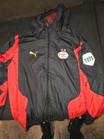 PSV Regen/Wind Jack - Officieel & Gedragen, Maat M, Ophalen of Verzenden, Zo goed als nieuw, Trainingspak