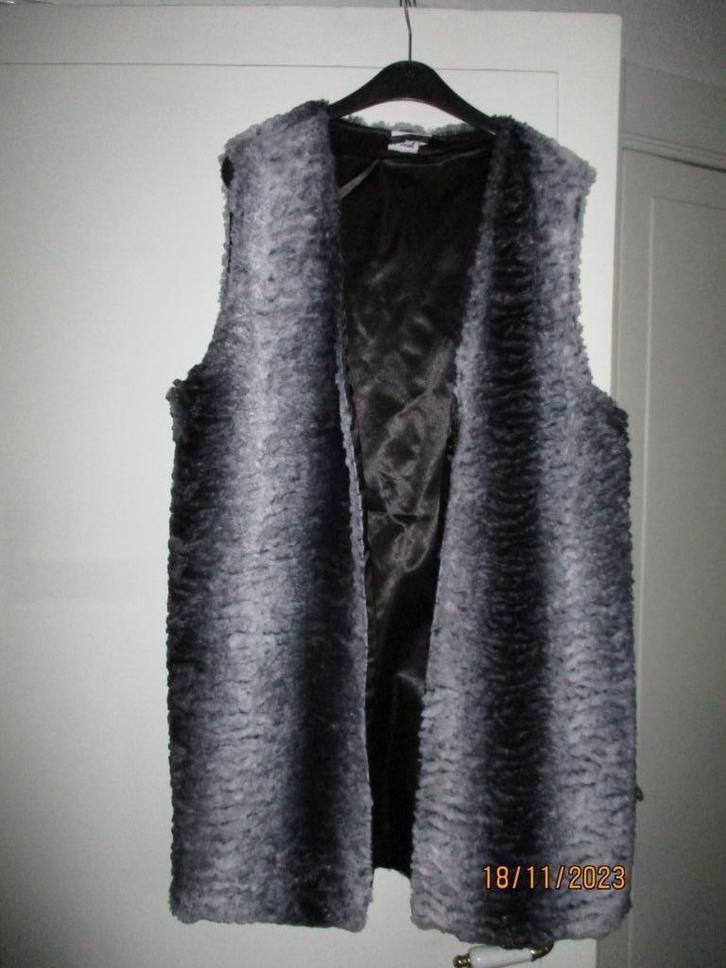2 harige bodywarmers (bolero), Kleding | Dames, Bodywarmers, Zo goed als nieuw, Maat 38/40 (M), Overige kleuren, Ophalen
