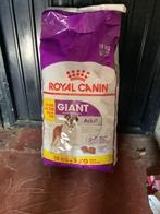 Royal canin giant adult 18 kg, Dieren en Toebehoren, Dierenvoeding, Hond, Ophalen