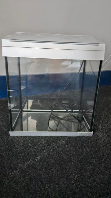 Aquarium superfish 30 L  beschikbaar voor biedingen