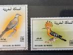 Vogel, Marokko 1990, Postzegels en Munten, Verzenden, Postfris, Dier of Natuur