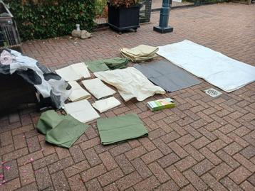 Plant beschermer.  beschikbaar voor biedingen