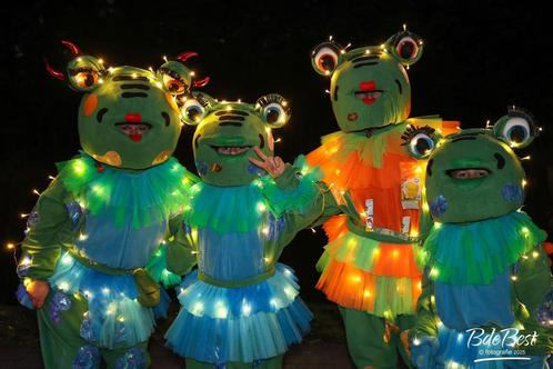 6x kikker pak loopgroep, Kleding | Dames, Carnavalskleding en Feestkleding, Zo goed als nieuw, Maat 46/48 (XL) of groter, Ophalen