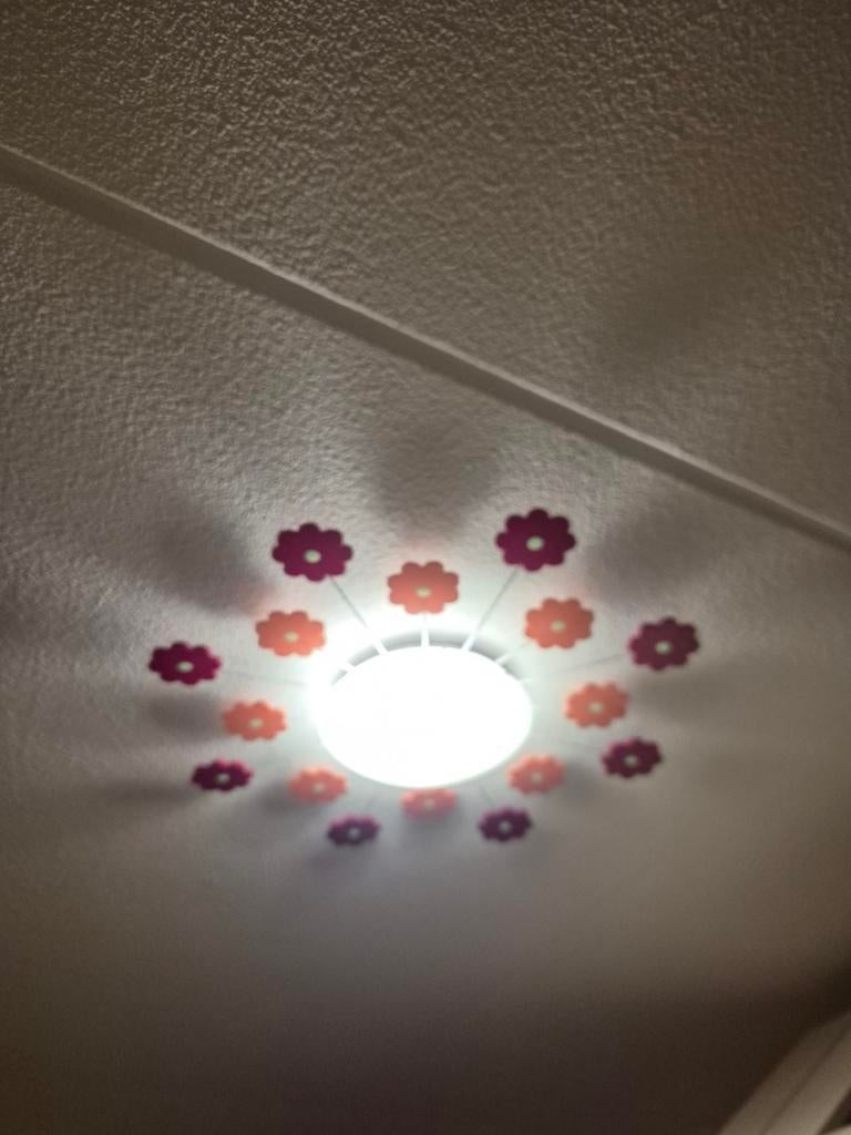 Bloemenlamp Plafondlamp, Ophalen of Verzenden, Zo goed als nieuw, Metaal