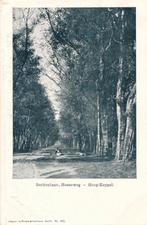Hoog-Keppel ansichtkaart Berkenlaan-Hessenweg omstreeks 1930, Verzamelen, Ansichtkaarten | Nederland, Verzenden, Voor 1920, Ongelopen