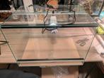 Terrarium met fitting, Dieren en Toebehoren, Ophalen