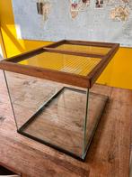 Glazen knaagdierhok / hok voor gerbils / woestijnratten, Gebruikt, Hok, Ophalen, Minder dan 60 cm