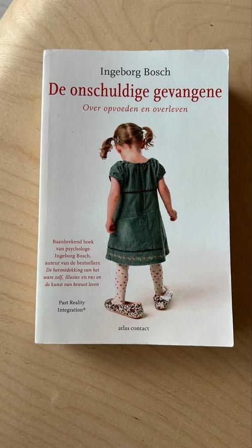 Helder en inspirerend opvoedboek – De onschuldige gevangene, Boeken, Zwangerschap en Opvoeding, Zo goed als nieuw, Ophalen of Verzenden