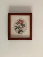 Vintage rozen schilderijtje Redouté, Ophalen of Verzenden, Gebruikt, Hout, Minder dan 50 cm