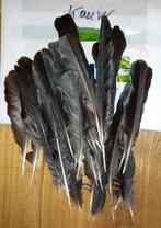 vogelveren duif/eend, Ophalen of Verzenden, Zo goed als nieuw, Vogel, Overige typen