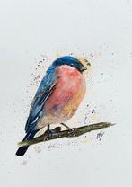 Aquarel goudvink, Ophalen of Verzenden