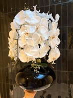 Decoratieve Orchidee 50cm, Ophalen, Zo goed als nieuw, Binnen