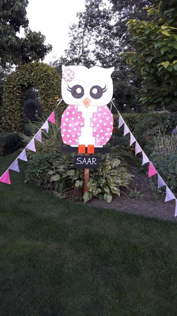 Geboorteborden, Hobby en Vrije tijd, Feestartikelen | Verhuur, Zo goed als nieuw, Geboorte of Huwelijk, Ophalen