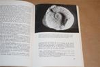 Boek. Stenen zoeken. H. Krul., Verzamelen, Mineralen en Fossielen, Ophalen of Verzenden, Fossiel