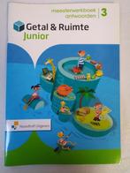 Getal en Ruimte Junior - groep 3 - Meesterwerk antwoorden., Ophalen of Verzenden, Zo goed als nieuw, Overige niveaus, Overige vakken