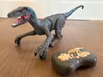 Dino met afstandsbediening, Ophalen, Zo goed als nieuw, Jongen of Meisje