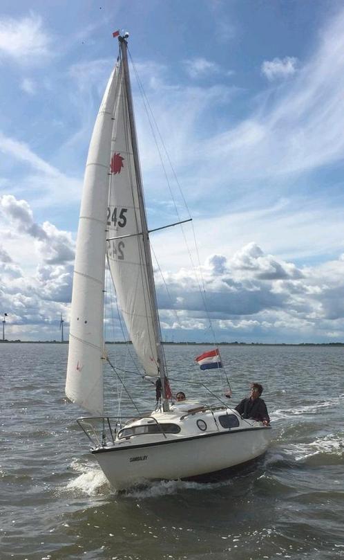 Leisure 17 Zeilboot - Ideaal voor Beginners!, Watersport en Boten, Zeilen en Zeiltoebehoren, Gebruikt, Minder dan 15 m², 3 tot 6 meter