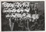 foto  schouts  -  12.50 op 9  cm, Verzenden, Voor 1940, Zo goed als nieuw, Overige onderwerpen