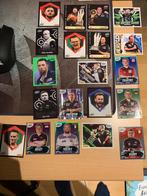 PDC WK darts 2026 Panini sticker, Ophalen of Verzenden, Nieuw, Pijlen