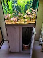 Mooi aquarium., Ophalen of Verzenden, Zo goed als nieuw, Leeg aquarium