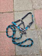 Mini shetlander halsters, Ophalen of Verzenden, Overige soorten