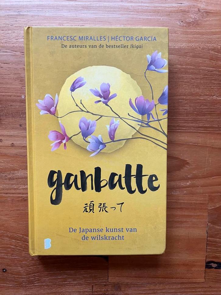 Héctor García - Ganbatte, Boeken, Psychologie, Zo goed als nieuw, Ophalen of Verzenden