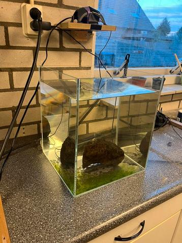 Glazen aquarium – 30x30x35 cm (ca. 31 liter) beschikbaar voor biedingen