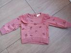 K10 Roze trui HEMA maat 50, Kinderen en Baby's, Babykleding | Maat 50, Ophalen of Verzenden, Zo goed als nieuw, Hema, Truitje of Vestje