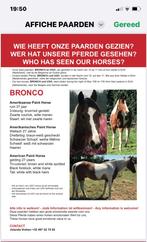 Gestolen paarden, Dieren en Toebehoren, Ophalen of Verzenden, Gebruikt