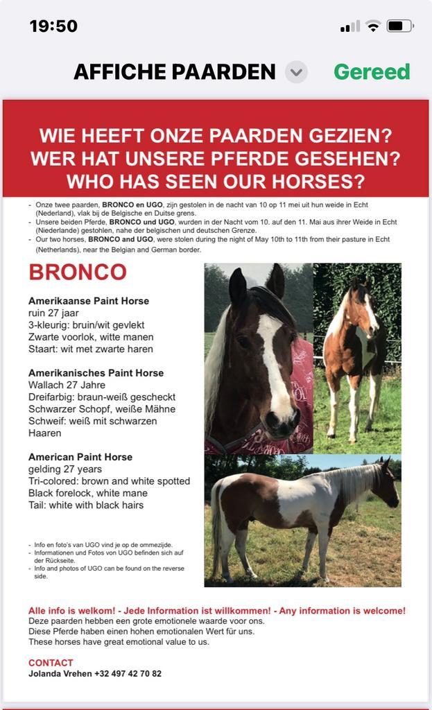 Gestolen paarden, Dieren en Toebehoren, Paarden en Pony's | Verzorgingsproducten, Gebruikt, Ophalen of Verzenden