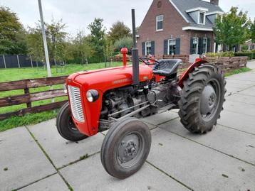Massey-Ferguson 35X 3-cilinder beschikbaar voor biedingen