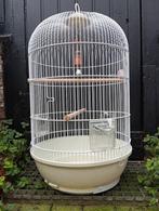 Vogelkooi, Dieren en Toebehoren, Vogels | Hokken en Kooien, Ophalen, Zo goed als nieuw, Metaal, Vogelkooi
