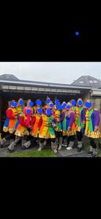 Carnavals groep , grote fleurige loopgroep., Carnaval, Ophalen of Verzenden, Zo goed als nieuw, Kleding