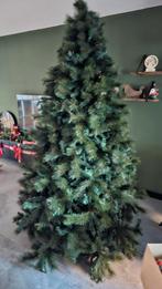 Kerstboom Atlanta 240cm (Cranenbroek), Ophalen