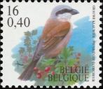 BELGIË 94 - Dieren: vogels (grauwe klauwier), Ophalen of Verzenden, Dier of Natuur, Postfris