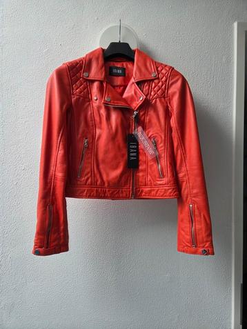 Ibana bikerjacket maat 36 NIEUW beschikbaar voor biedingen