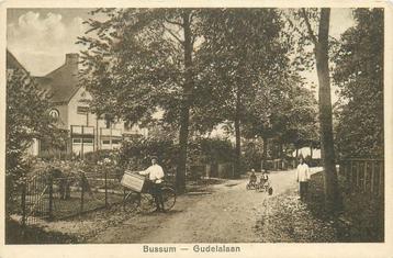 (701-239-033) Bussum Gudelalaan beschikbaar voor biedingen