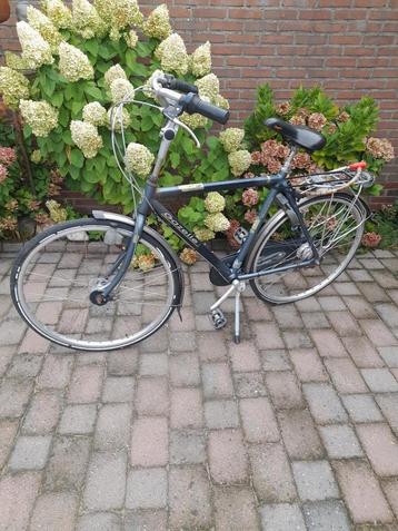 Gazelle Furore. Herenfiets.  beschikbaar voor biedingen