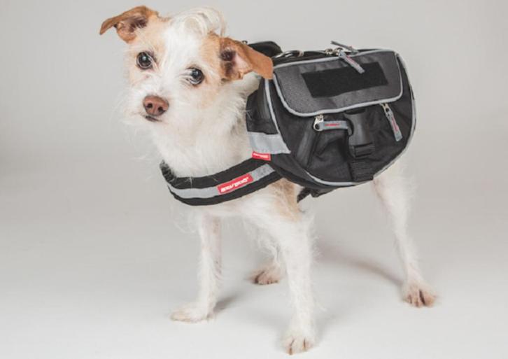 EZYDOG Convert Saddle Bags S t.b.v. Convert harnas KOOPJE!!!, Dieren en Toebehoren, Honden-accessoires, Nieuw, Ophalen of Verzenden
