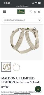 Hunter, maat xs-s de kleur is greige, Ophalen of Verzenden, Zo goed als nieuw