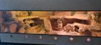 Nieuw terrarium 140x75x65, Ophalen, Nieuw, Terrarium of Paludarium