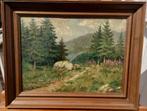 ~1920/30 Alpen landschap, olieverf op doek, gesigneerd?, Antiek en Kunst, Kunst | Schilderijen | Klassiek, Ophalen of Verzenden
