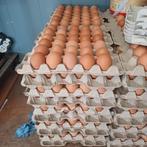 Verse scharreleieren, Diversen, Ophalen of Verzenden