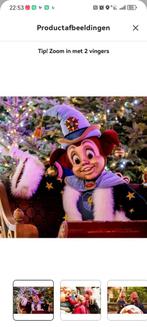 Efteling Ticket, Tickets en Kaartjes, Eén persoon, Ticket of Toegangskaart