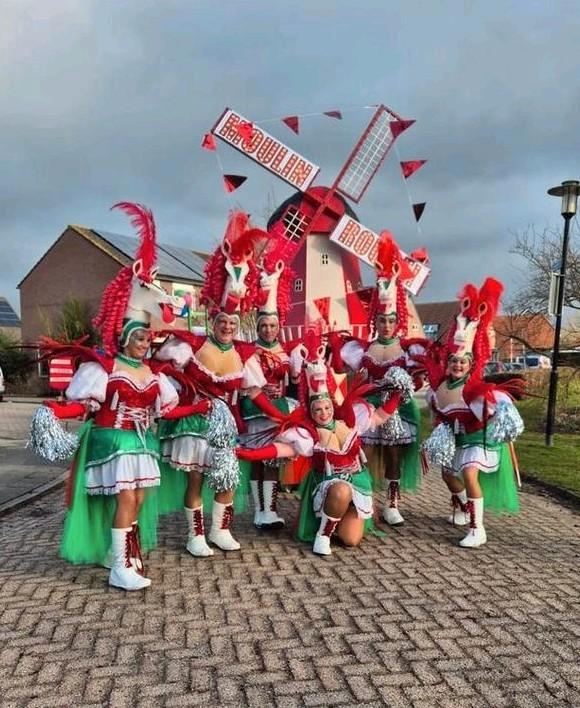 Carnaval loopgroep optocht., Kleding | Dames, Carnavalskleding en Feestkleding, Zo goed als nieuw, Kleding, Carnaval, Maat 46/48 (XL) of groter